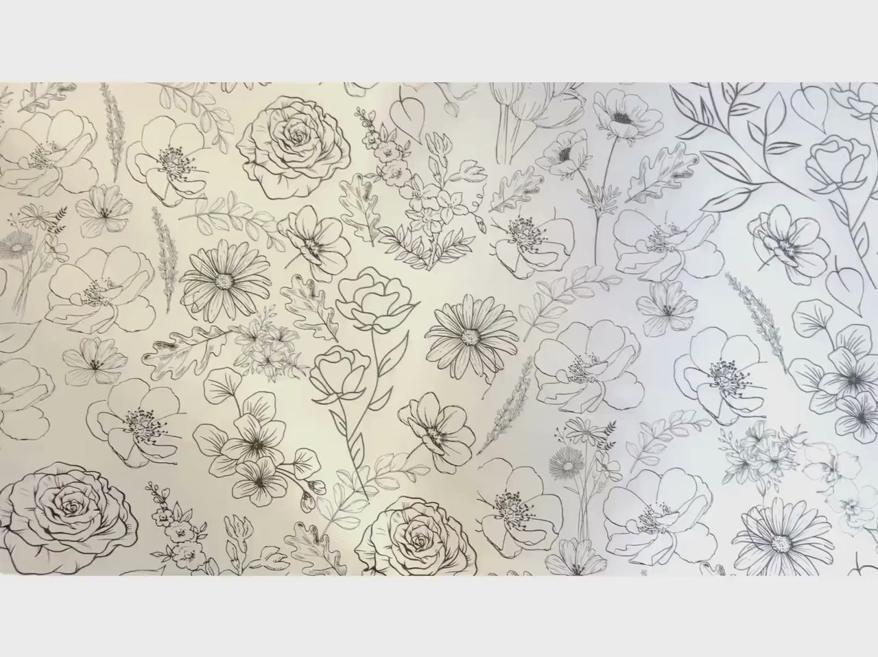 Flowers Daisy Whimsical Birthday
